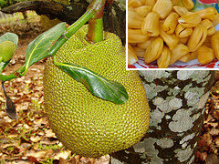 Jackfruit. Таиланд